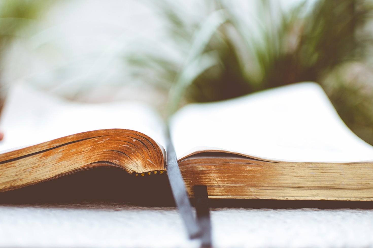 Why Christ Changes Everything We Know